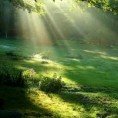 Clarity Mind Transformation